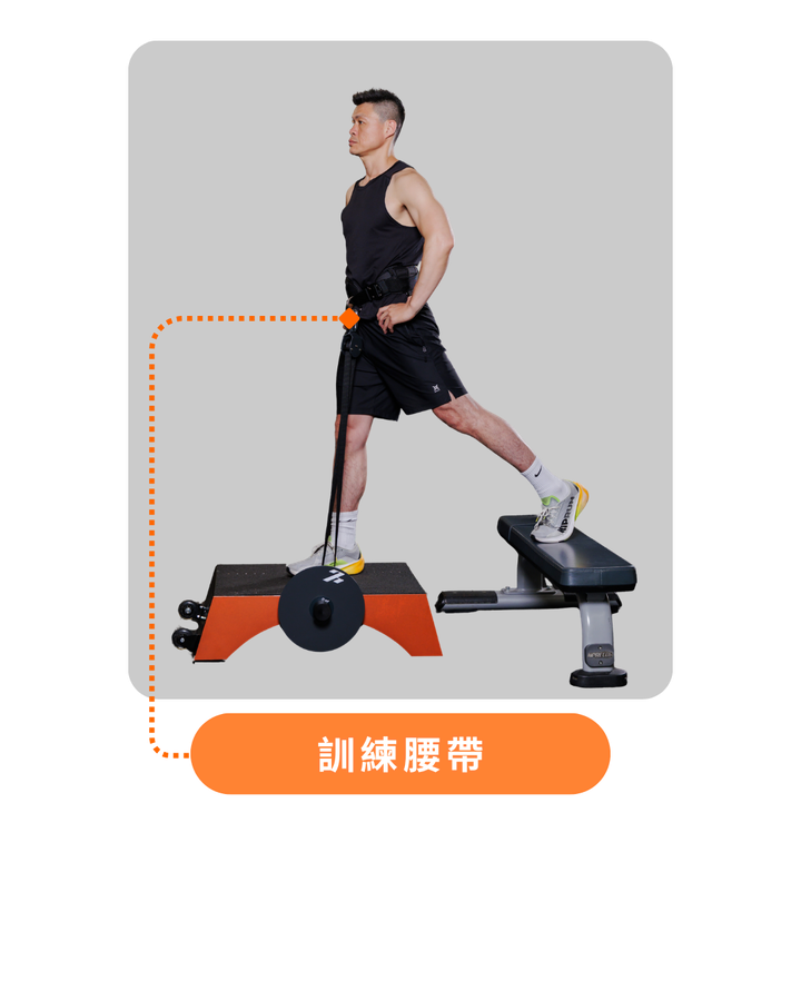訓練腰帶 ×1，使用者配戴訓練腰帶進行分腿蹲訓練
